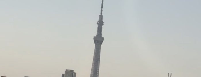 新水戸橋 is one of 橋/陸橋.