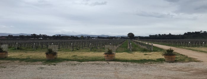 Petersons Wines is one of Mudgee.