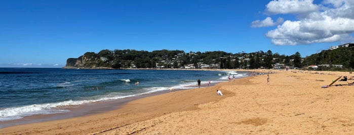 North Avoca Beach is one of cooly.