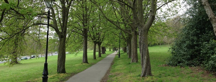 Alexandra Park is one of London.