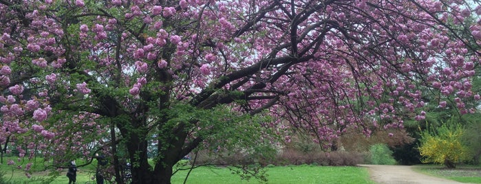 Zoopark is one of Dusseldorf.