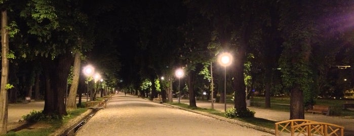 Parcul Central is one of Cluj-napoca.