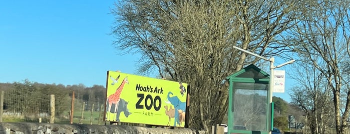 Noah's Ark Zoo Farm is one of Locais curtidos por Volodymyr.