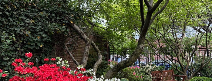 St Lukes Garden is one of NY to explore.