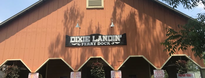 Dixie Landin' Amusement Park is one of Books.