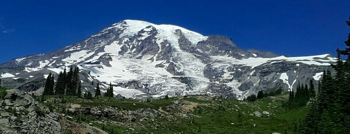 Mount Rainier National Park is one of Washington State (Southwest).