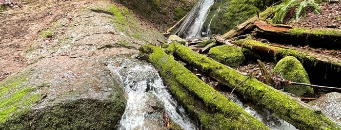 Coal Creek Falls is one of Sites to see!.