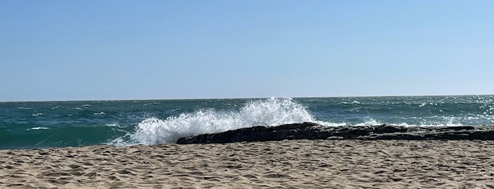 Laguna Creek Beach is one of Santa Cruz beaches.