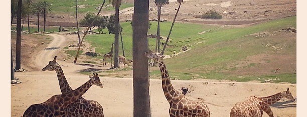 Wild Animal Park Cart Safari is one of Lugares favoritos de Ana María.