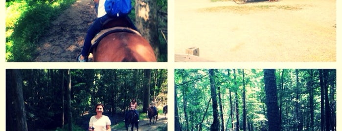 Smoky Mountain Riding Stables is one of Best places in Tennessee.