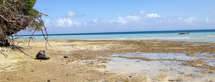 Misali Island is one of Zanzibar e Pemba.