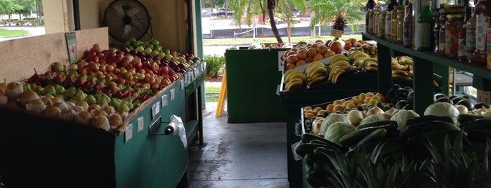 City Produce Fruit Market is one of Shopping.