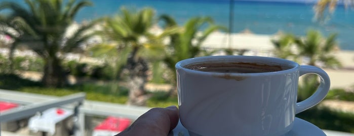 Palm Wings Kuşadası Beach Resort & SPA is one of Diğer.