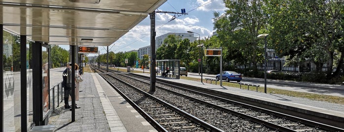 H Stendaler Straße / Zossener Straße is one of Berlin MetroTram line M6.