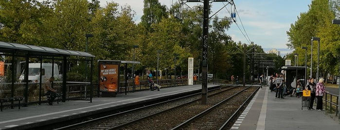 H Freizeitforum Marzahn is one of Berlin tram line 16.