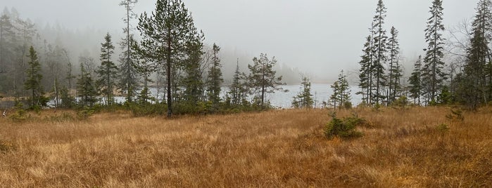 Skuleskogen Nationalpark is one of Švédsko.