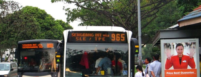 Tower Transit: Bus 965 is one of Singapore Bus Services II.