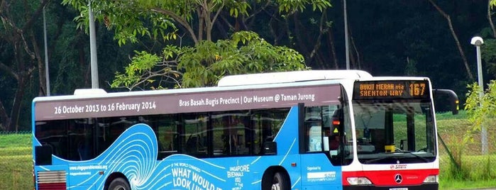Tower Transit: Bus 167 is one of Singapore Bus Services II.