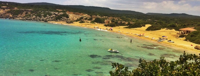 Hasan's Turtle Beach is one of Cyprus / Kıbrıs'ta nerelere gidelim?.