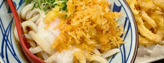 丸亀製麺 新潟新津 is one of 丸亀製麺 中部版.