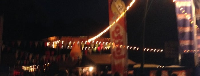 Fiesta Latina is one of Belgium / Events / Music Festivals.