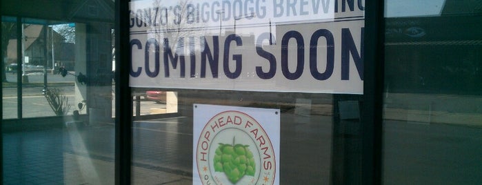 Gonzo's BiggDogg Brewing is one of Kalamazoo.