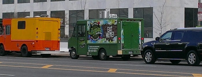 Lilypad on the Run is one of Washington DC Food Trucks.