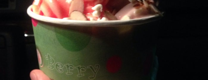 Tasty Berry is one of ice cream/frozen yogurt.