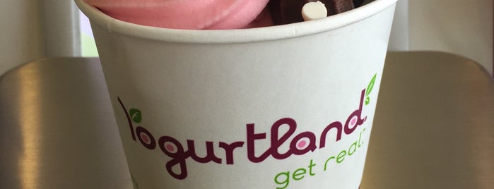 Yogurtland is one of Fro. Yo..