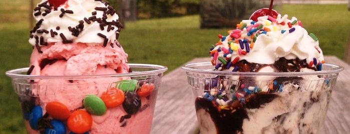Woodside Farm Creamery is one of Trip Advisor's Top 10 Ice Cream Shops in U.S..