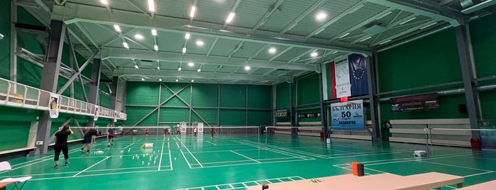 Badminton Europe is one of Sss.