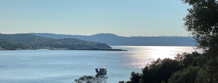 Agios Nikolaos is one of Best beaches & beach bars in Kassandra.