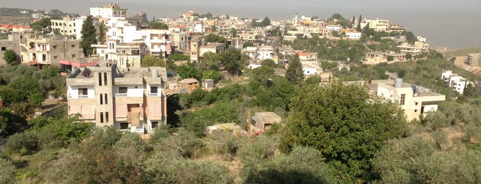 Werdeniyyeh is one of Lugares favoritos de Sherouk.