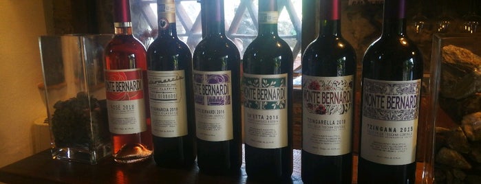 Monte Bernardi is one of Chianti Classico Tasting at Winery.