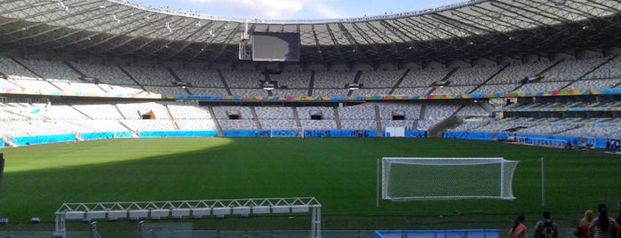 Estádio Governador Magalhães Pinto (Mineirão) is one of 2014 FIFA World Cup Stadiums.