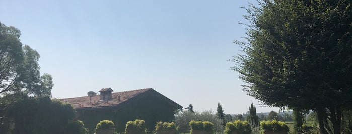 Agriturismo Solive is one of Franciacorta Cantine.