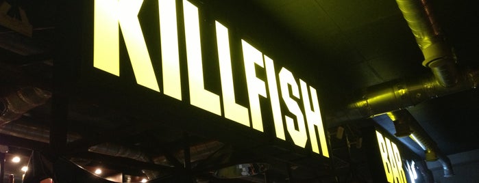 Killfish is one of The Next Big Thing.
