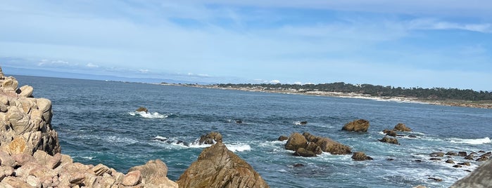 Point Joe is one of 17 Mile Drive.