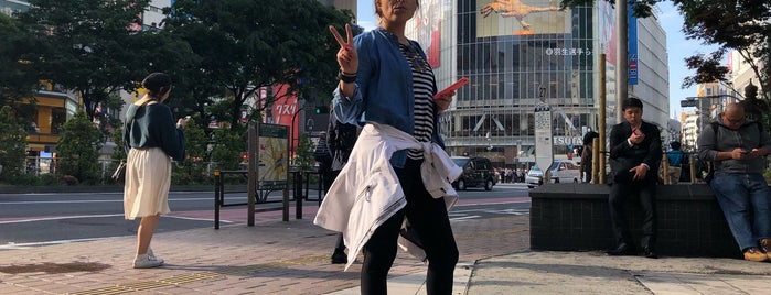 渋谷 is one of Susanaさんのお気に入りスポット.