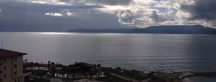 Euphoria Aegean Resort & Spa is one of สถานที่ที่บันทึกไว้ของ Ay.