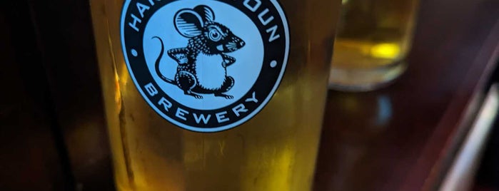 Red Lion is one of Aberdeen pub crawl.