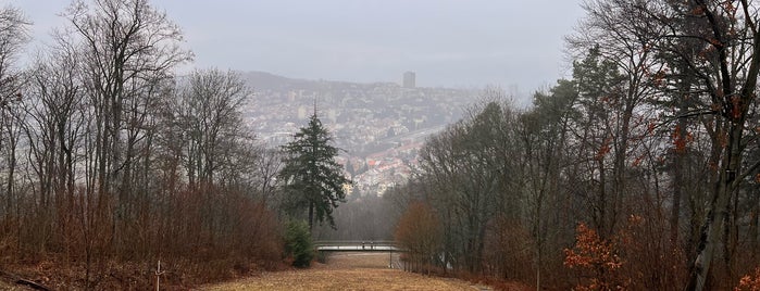 Wilsonův les is one of Brno.