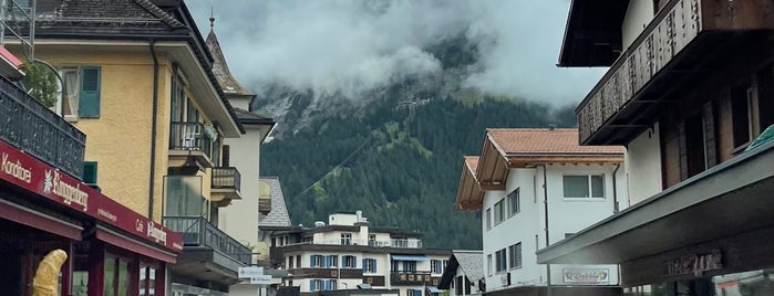 Grindewald is one of سويسرا.
