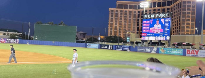 MGM Park is one of MiLB.