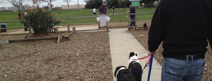 Grape Street Dog Park is one of Kimberlyさんのお気に入りスポット.