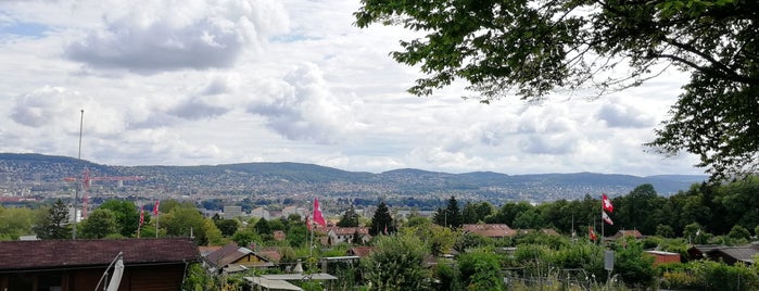 Panoramaweg is one of Hundeausflüge.