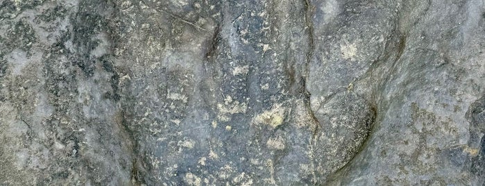 Dinosaur Footprints is one of New England to see.