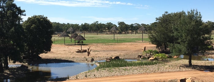 African Savannah Viewing Platform is one of Locais curtidos por Antonio.