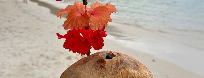 North Beach is one of Madagascar 🇲🇬, Seychelles 🇸🇨 & Mauritius 🇲🇺.