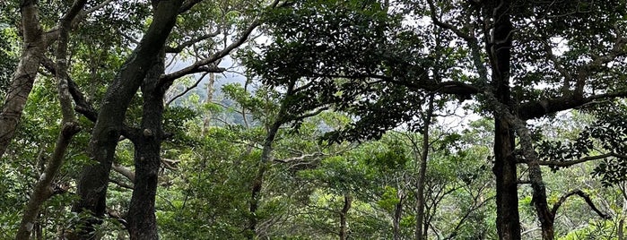 Wisdom Path is one of Hong Kong.